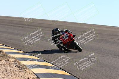 media/Feb-13-2022-SoCal Trackdays (Sun) [[c9210d39ca]]/Bowl (120pm)/